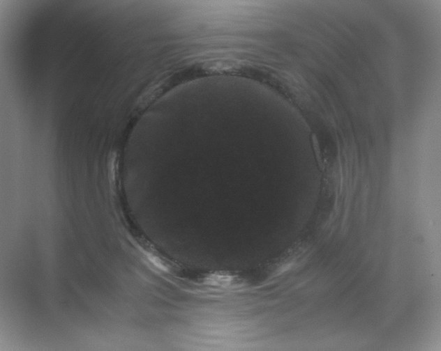 X0000071920227200607212116