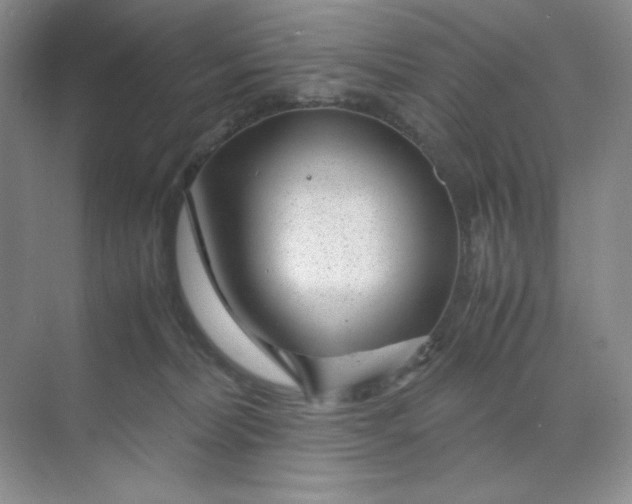 X0000071920228200607212116