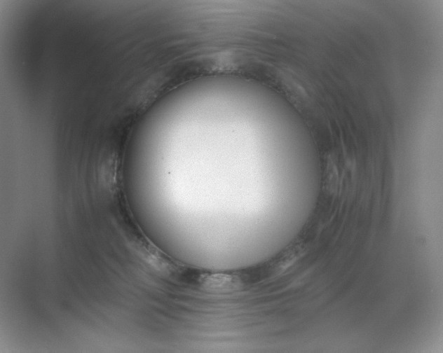 X0000071920230200607212116