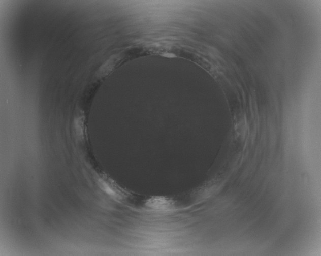 X0000071920231200607212116