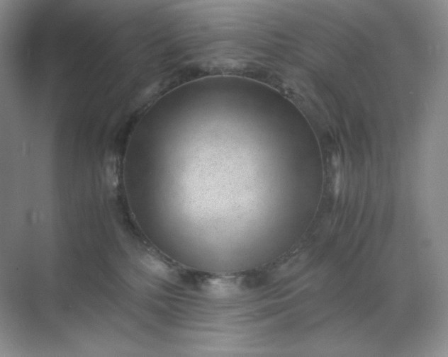 X0000071920232200607212116
