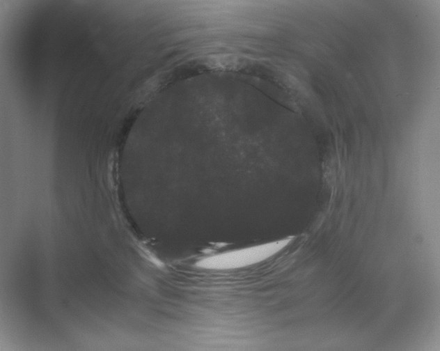 X0000071920233200607212116