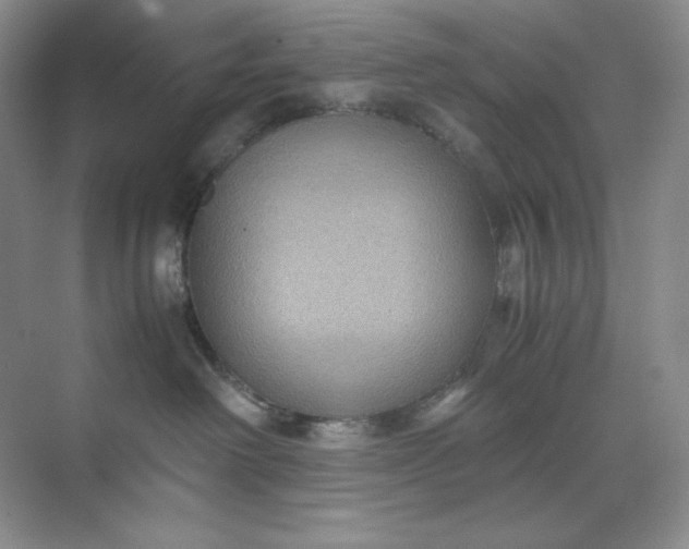 X0000071920238200607212116