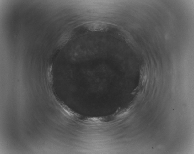 X0000071920239200607212116
