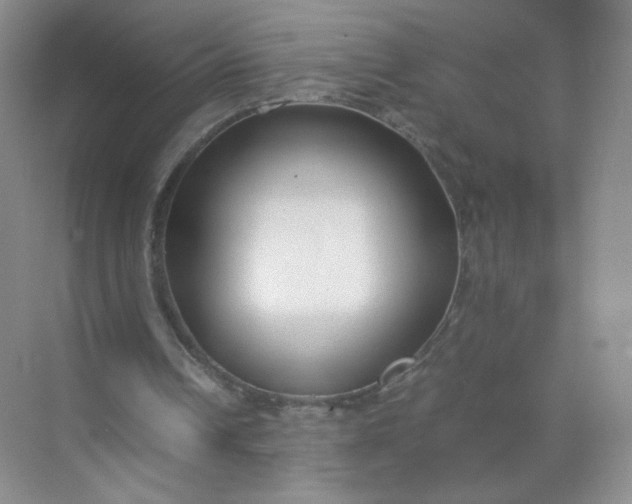 X0000071920242200607212115