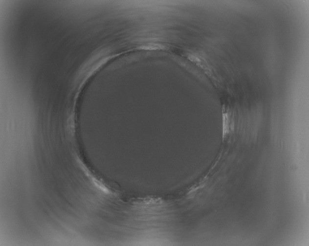 X0000071920243200607212115