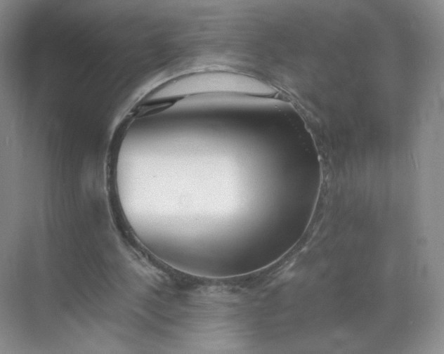 X0000071920244200607212115