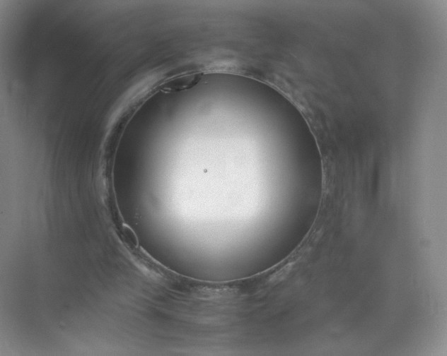 X0000071920245200607212115