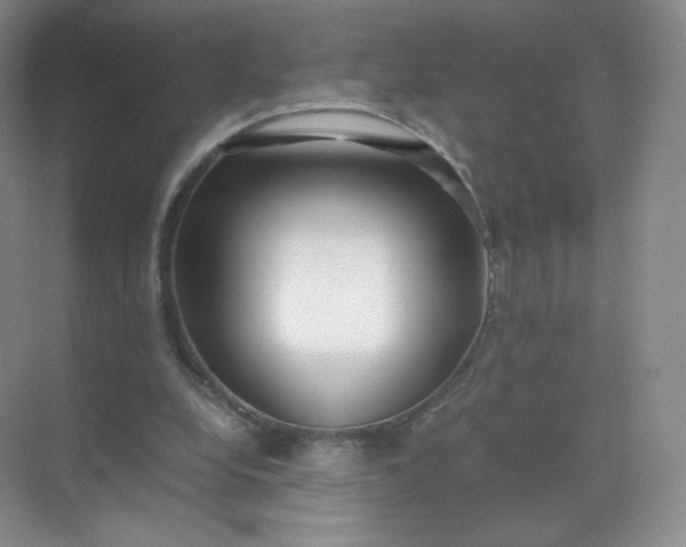 X0000071920248200607212115