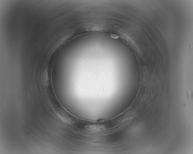 X0000071920251200607212115