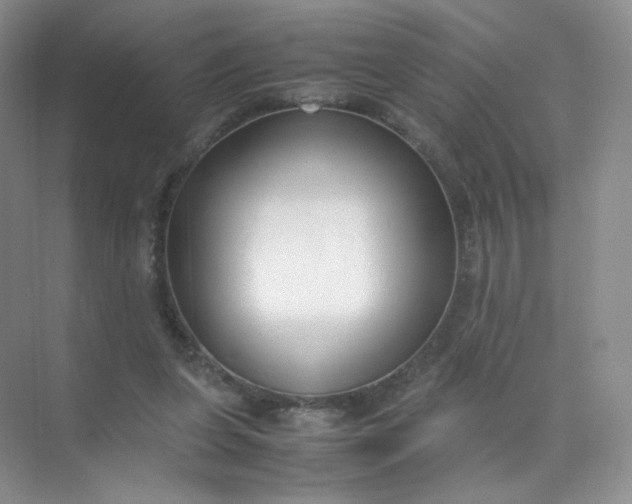 X0000071920255200607212115