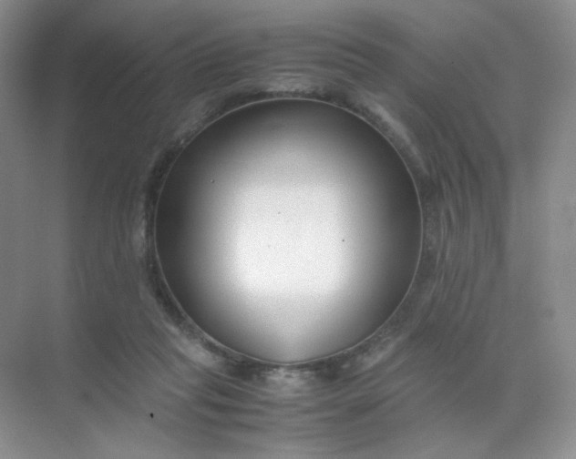 X0000071920261200607212115