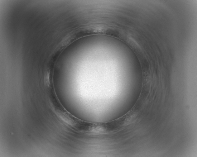 X0000071920262200607212116