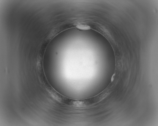 X0000071920265200607212116