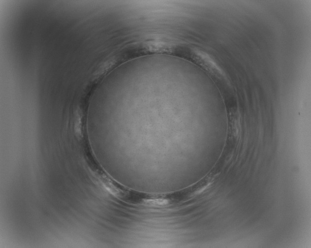 X0000071920266200607212116