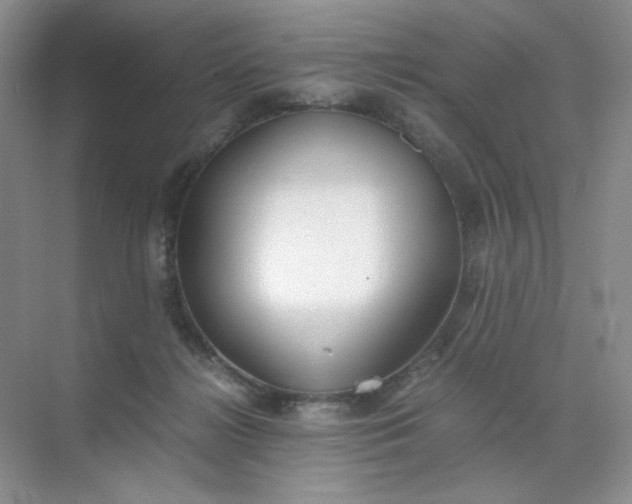 X0000071920268200607212116