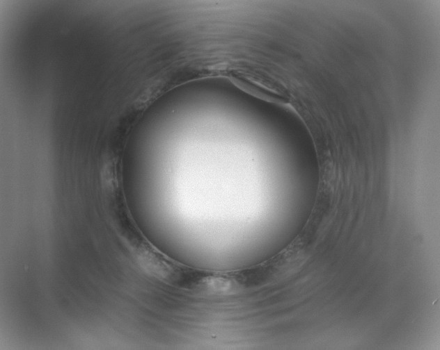 X0000071920272200607212116