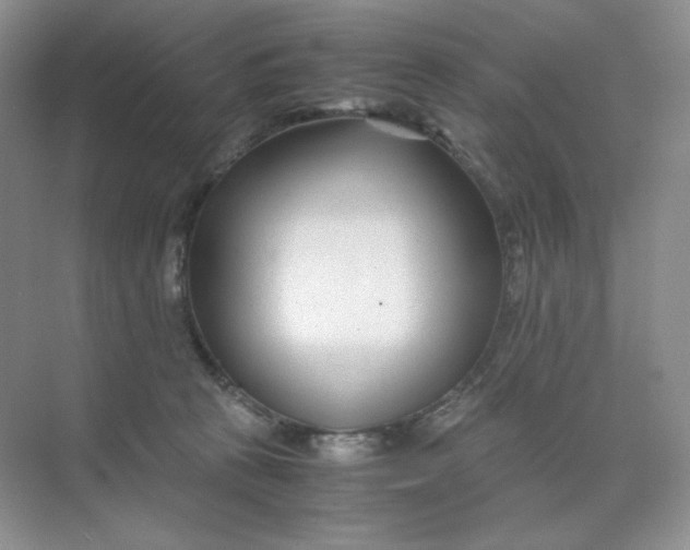 X0000071920273200607212116