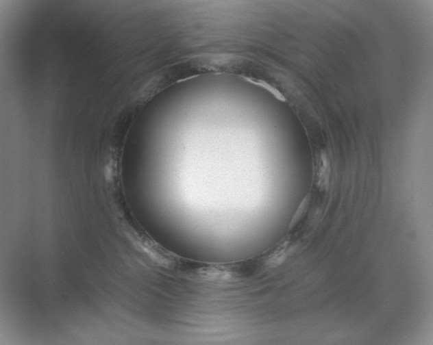 X0000071920284200607212116