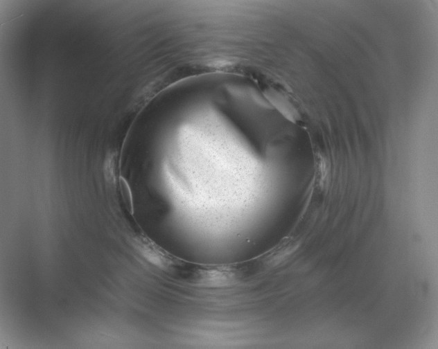 X0000071920286200607212116