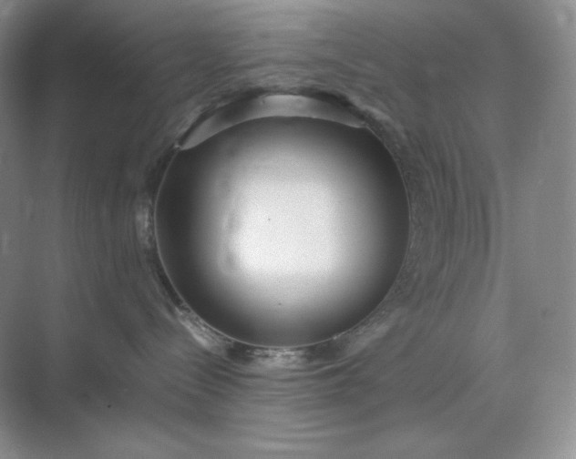 X0000071920288200607212116