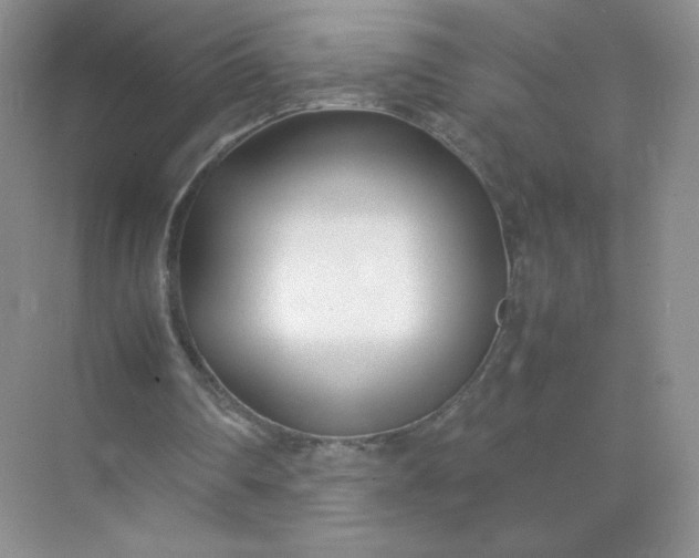 X0000071920290200607212115