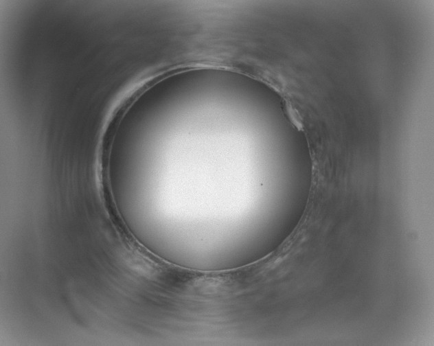 X0000071920294200607212115