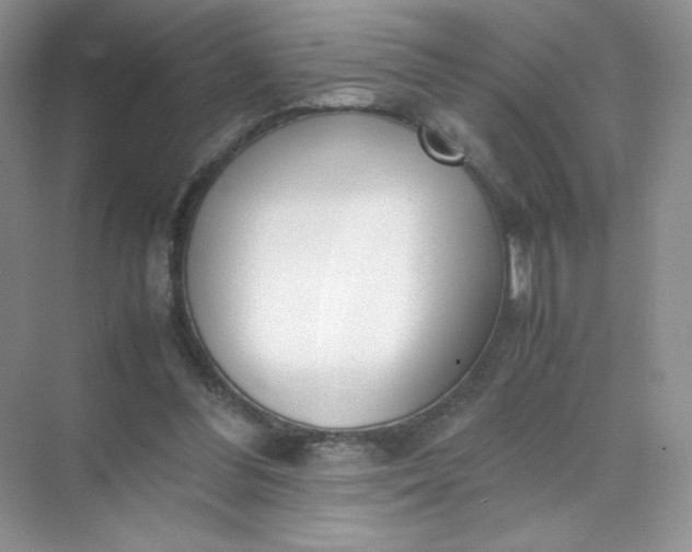 X0000071920300200607212115