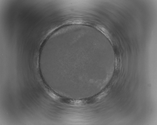 X0000071920301200607212115