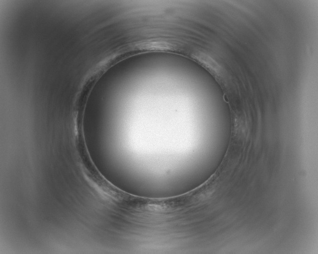 X0000071920302200607212115
