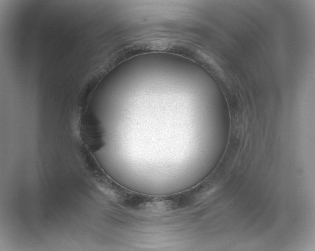 X0000071920307200607212115
