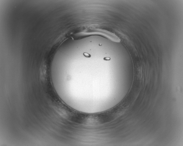 X0000071920308200607212115
