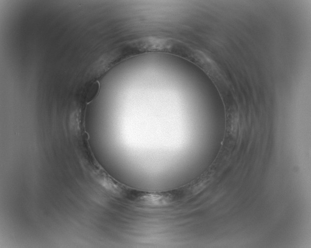 X0000071920326200607212115