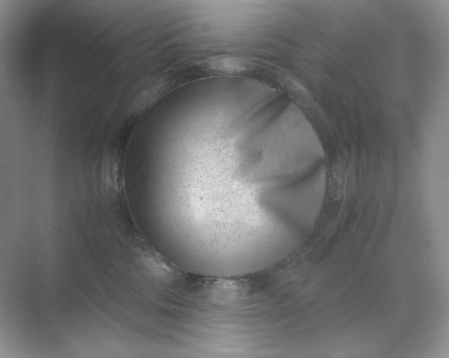X0000071920330200607212114