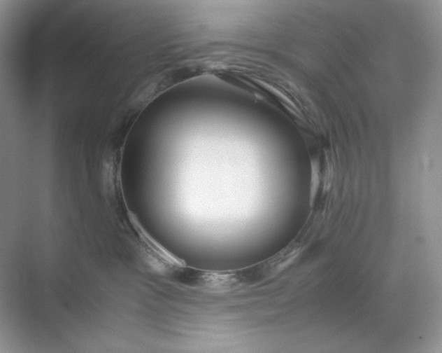 X0000071920333200607212114