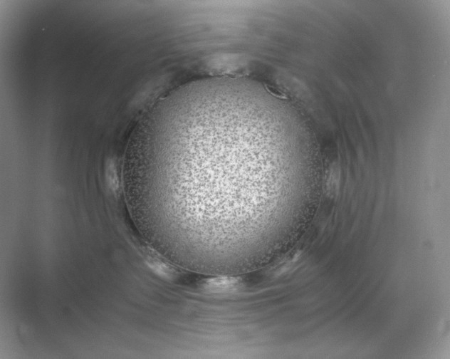 X0000071920335200607212114