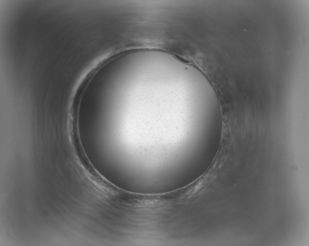 X0000071920342200607212114