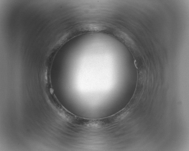 X0000071920358200607212114