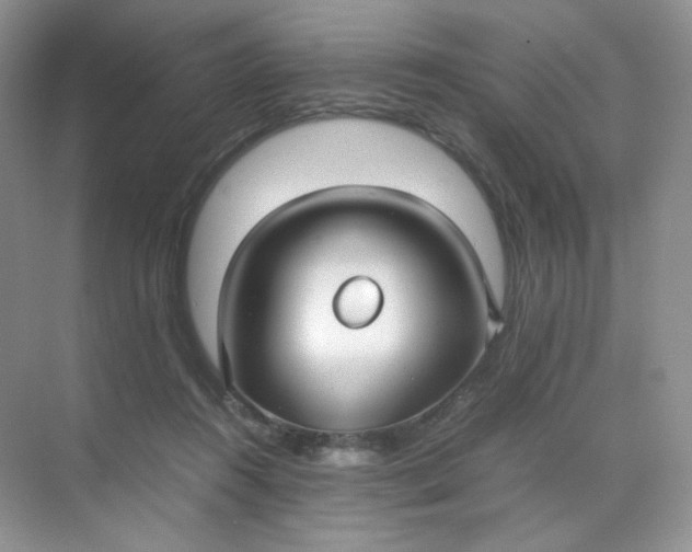 X0000071920360200607212114