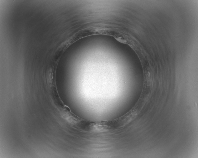 X0000071920372200607212114