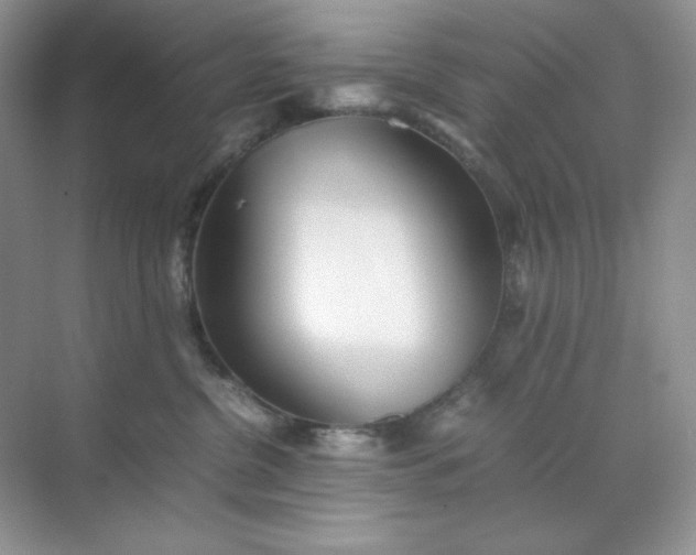 X0000071920380200607212114
