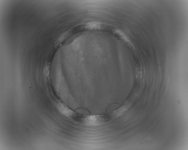 X0000071920382200607212114