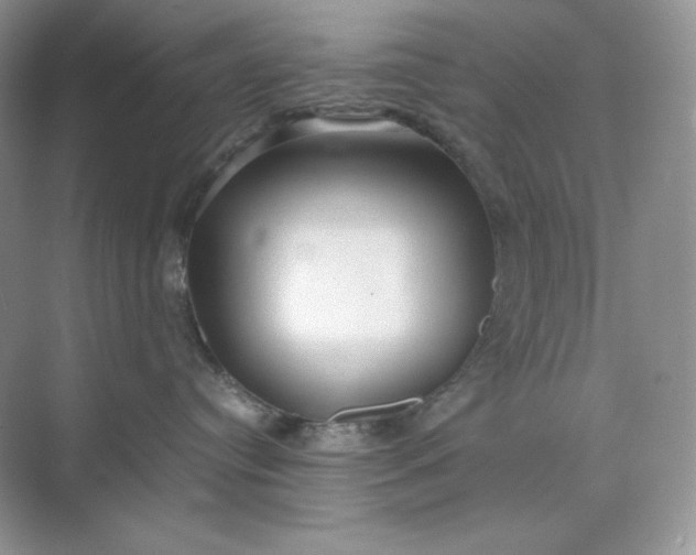 X0000071920384200607212114