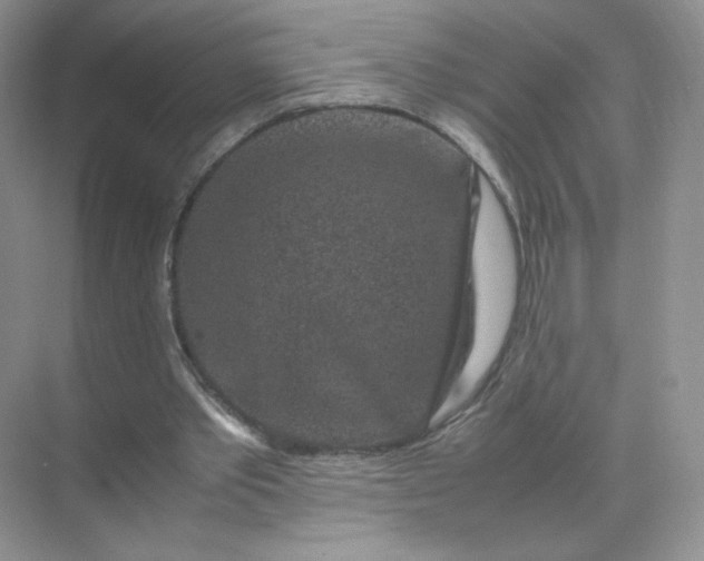 X0000071920389200607212113