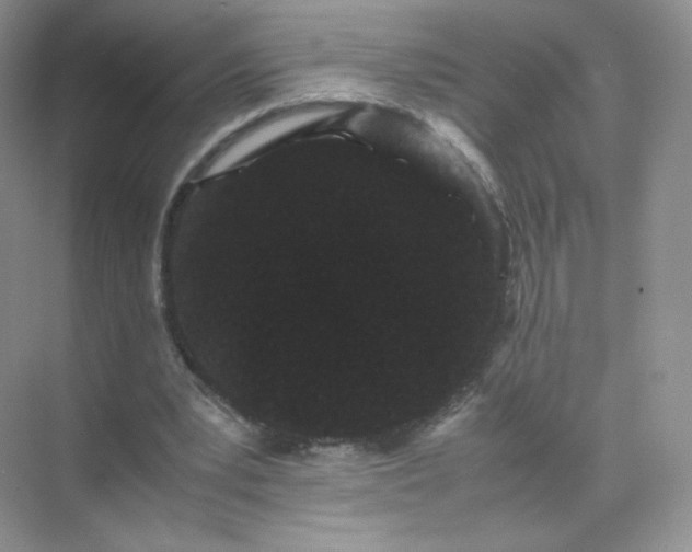 X0000071920391200607212113