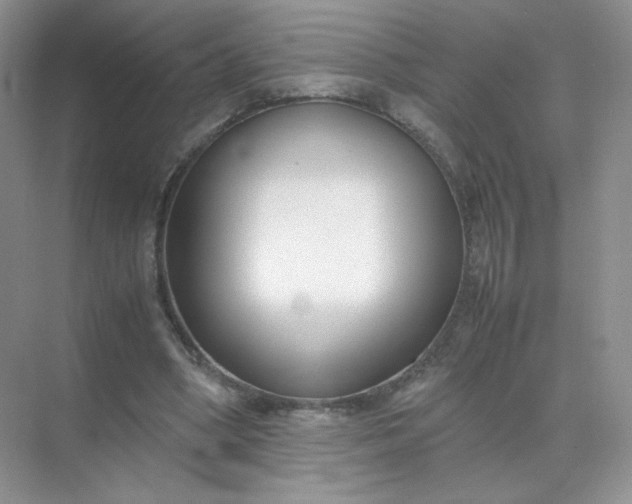 X0000071920394200607212113