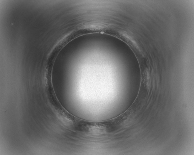 X0000071920400200607212113
