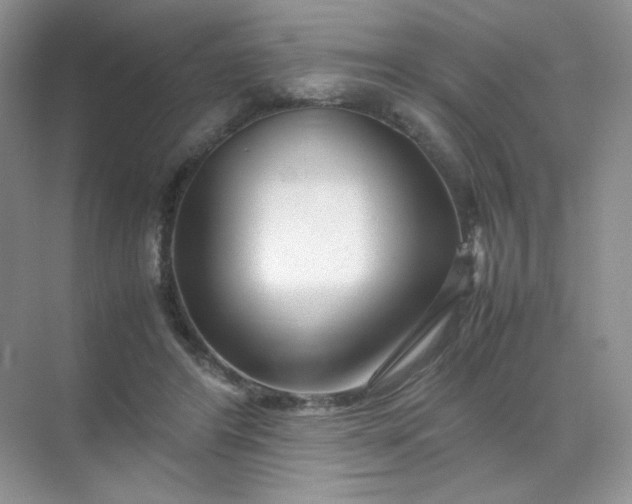 X0000071920404200607212113