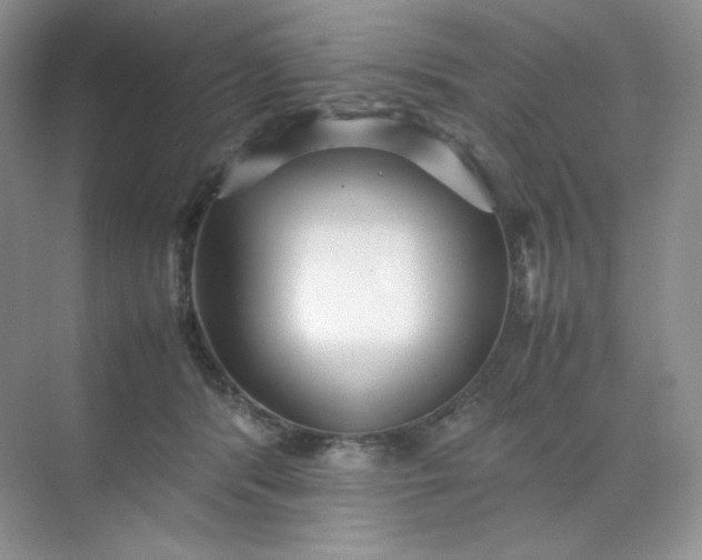 X0000071920416200607212113
