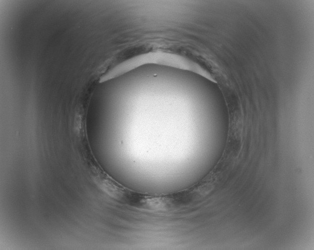 X0000071920417200607212113